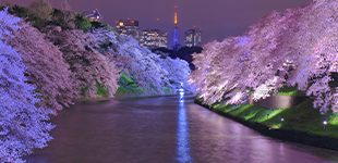 ロイヤルシーズン九段南